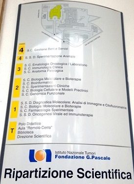 pascale foundation 24,.jpg